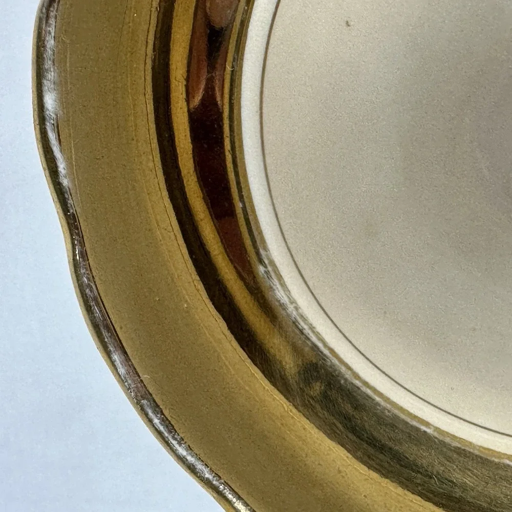 Rosina Bone China Teacup Saucer Set Gold Gilt Floral Cottagecore Grandmillennial